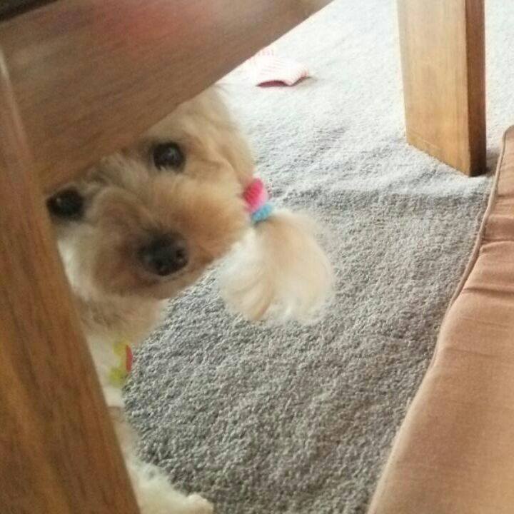 B42168a3 3fc2 4190 999d 0209f7172fa0 1536405004118