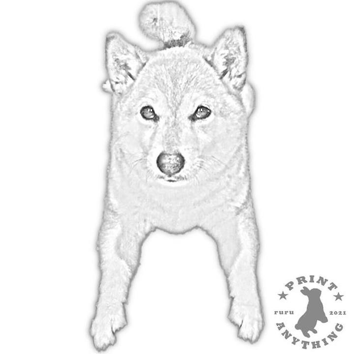 B4219187 e0f8 4e92 a67d 2a5692c962f8 1630994895355