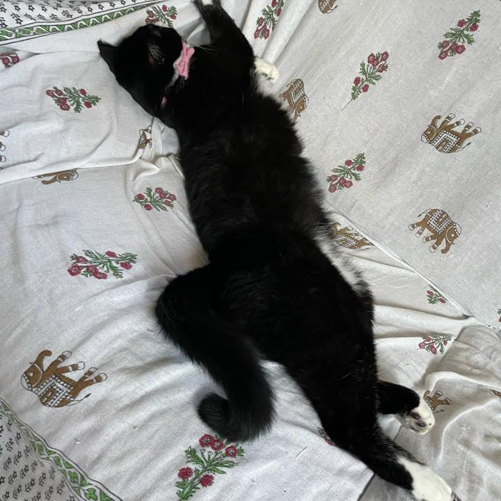 B421a33b 9722 472e a5a0 79b19bb74e66 1699848794910