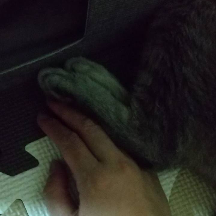 B421cea8 69cb 4fc4 be9f 306fc153a106 1695817663715