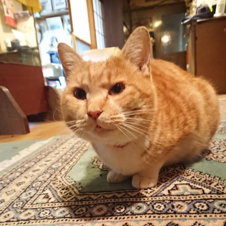 B421dda9 5509 4501 832a 1825b1110ab2 1578473659211