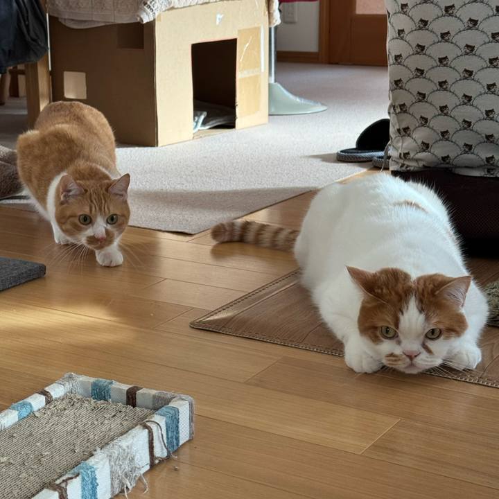 B421e94a fd41 4a79 b45b a93fd102a49c 1766111468147