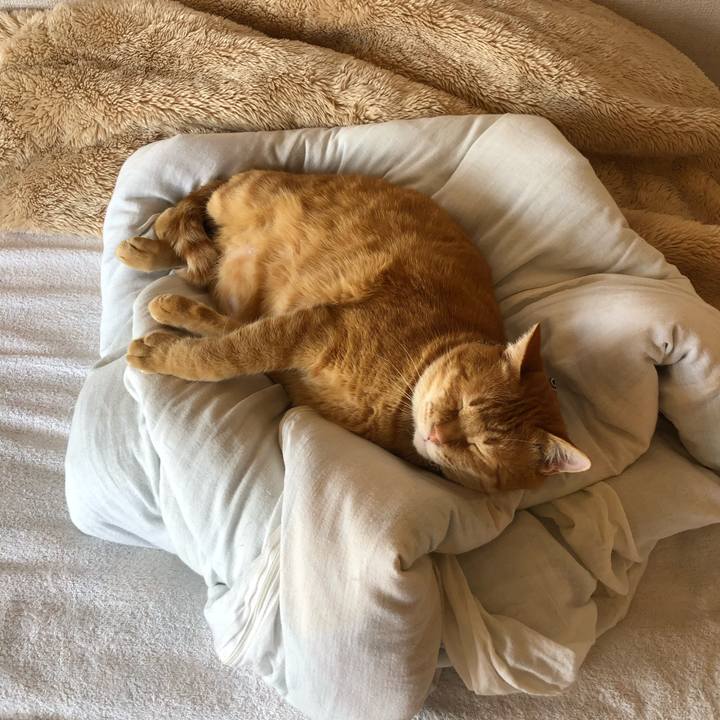 B421ea2e 0aa0 4efb 958c 593ac02566a9 1588381378628