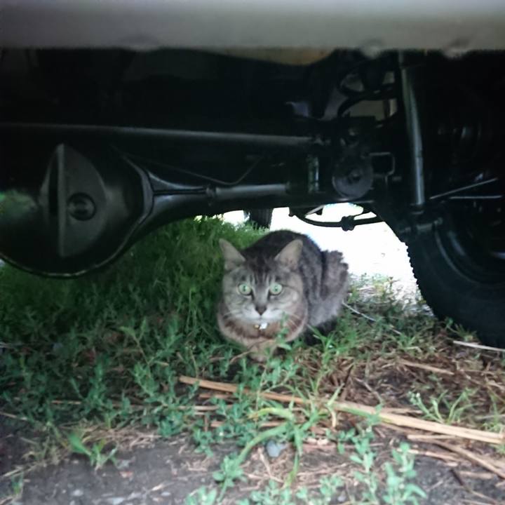 B421ebdd e1d7 46d6 ad97 965b160e314c 1563443670411