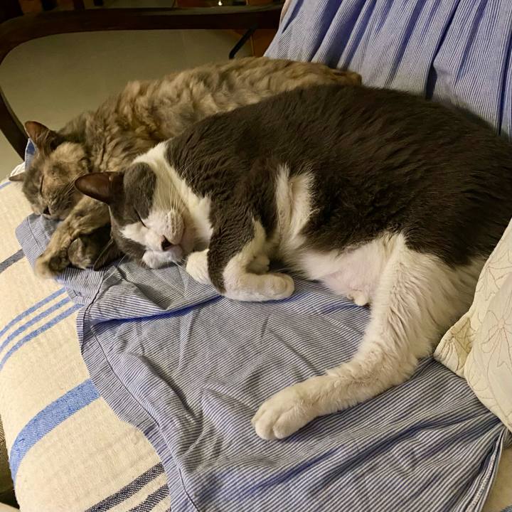 B421f6ee 76c4 46b8 9606 c89f4bf75351 1757946340072