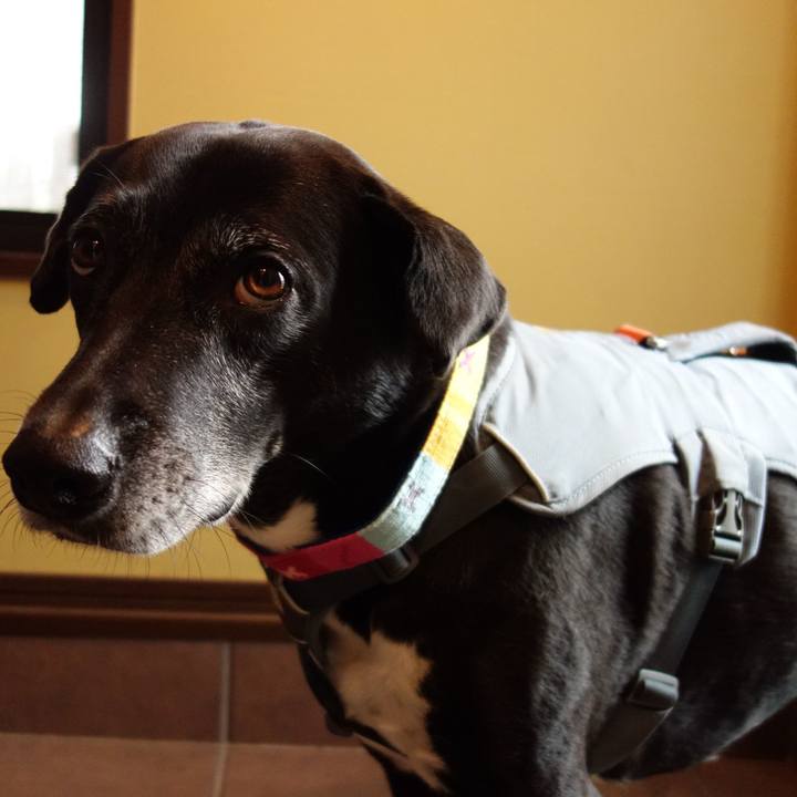 B4223106 f464 4915 a7f5 25cfe85bc32c 1743982822085