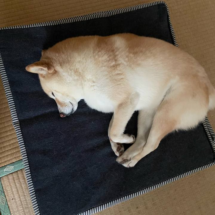 B422359a 00d3 44ac 9c1b 76f232bf3922 1748497652380