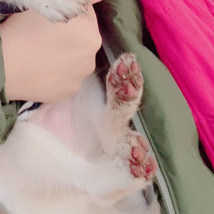 B42271d6 ae0f 4966 8e49 e704db958078 1704188222051