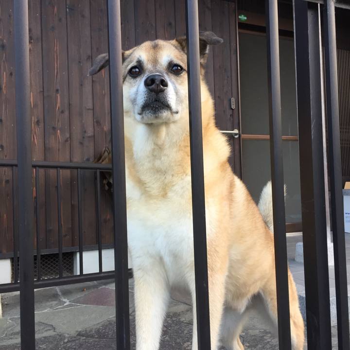 B4228aec 812e 4940 bf0b 5fe838c2d9f9 1598703247255