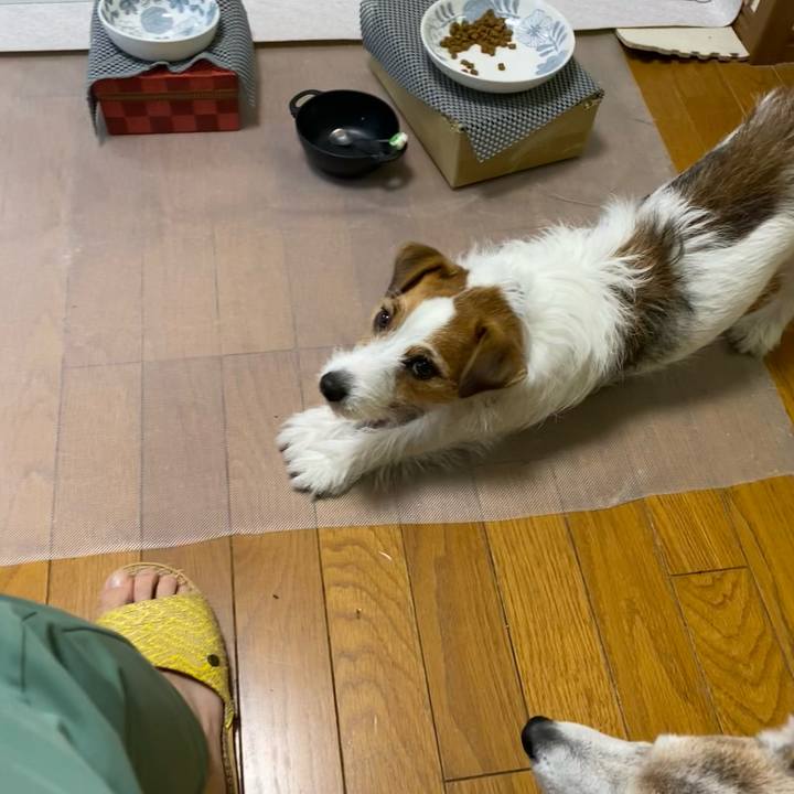 B4229ee1 5de4 445c ac34 fa0fa877ca63 1699394024141