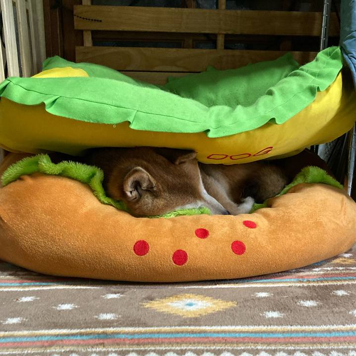 B422a9af 52b3 4dd1 a278 c28fafddcb76 1768354108868