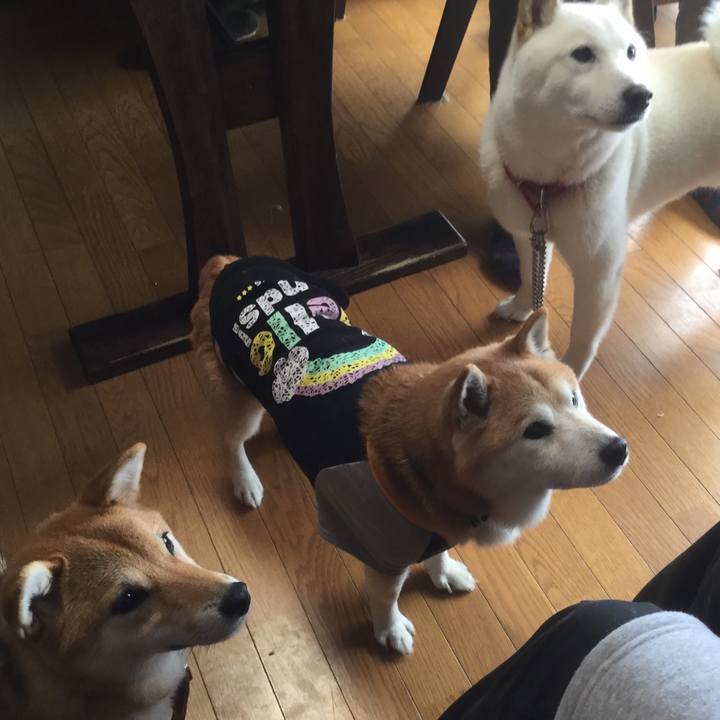 B422b5d4 10b1 4e26 a463 3bc788275f0c 1534894945434