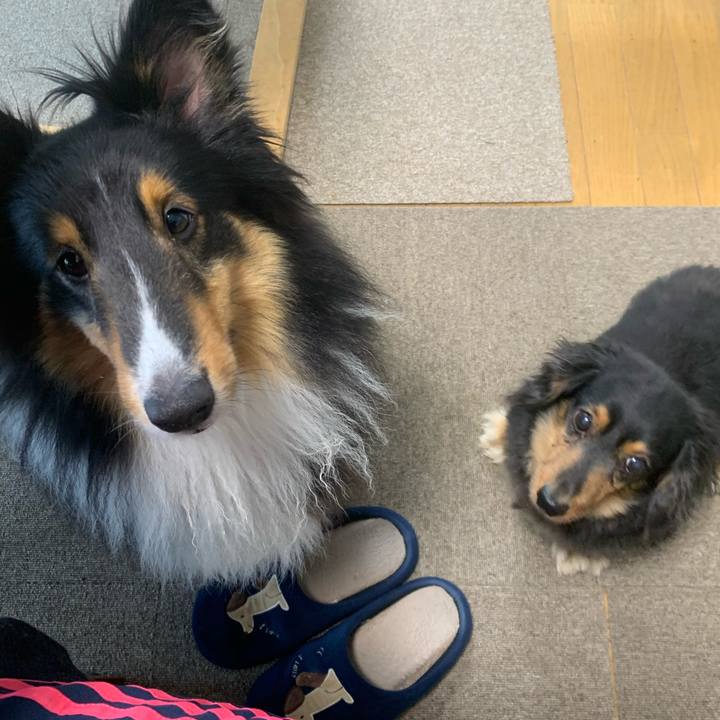 B422dbdd 2590 43b2 a50e fe79d06ebc7a 1590529142701