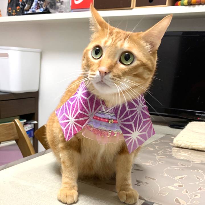 B422e6f5 9e91 4479 9f51 d12b1cc8b203 1571703251834