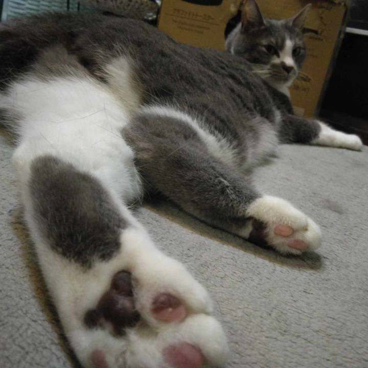 B42322a3 9d1b 424c bd31 ee39d5bcd0e0 1713442472824