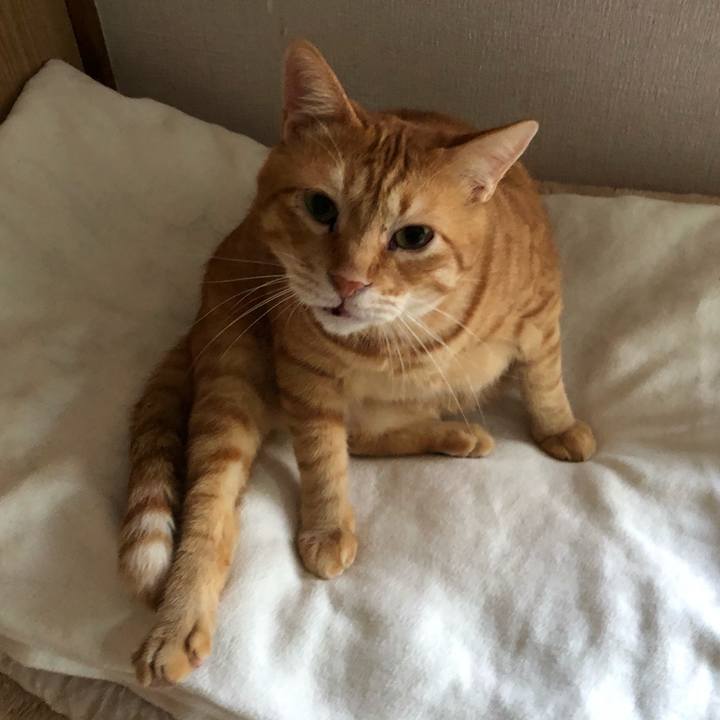 B4236f58 3f91 411e 89f9 92a39e978e8a 1561975392929