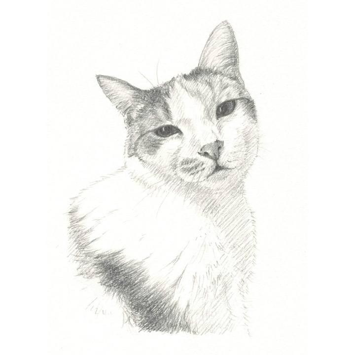 B423a380 151f 478b a95a e59e39735eb7 1540822914811