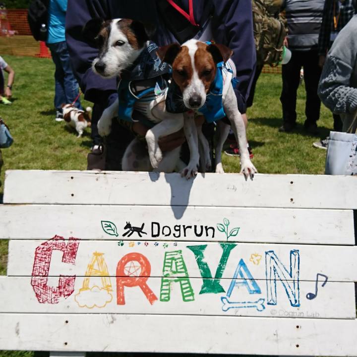 B423c34e 6b77 4171 8128 63b4548da47e 1556938253770