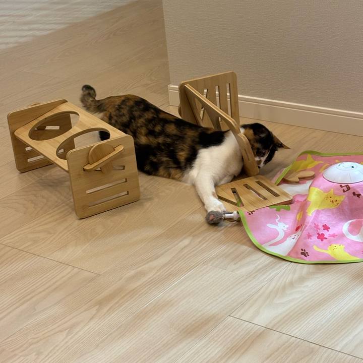 B423f3c8 a4c8 4ed0 bba7 870ac7e8cf39 1772716710346