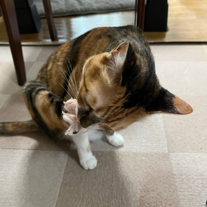 B4240c23 4199 4f25 8920 292d8cec89ad 1757548421680