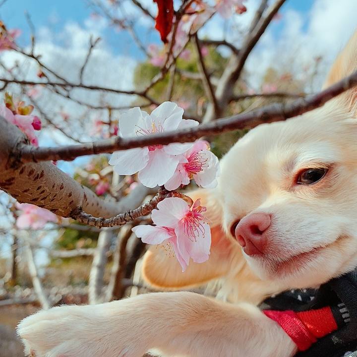 B4240de9 66ac 4fc5 9cb0 fcb2017ac86d 1613286706368