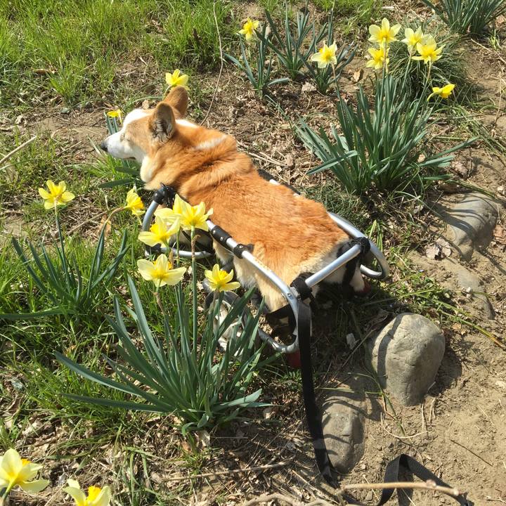 B4245726 6dd3 44ea b92a 7ad09bbe252d 1553527004838