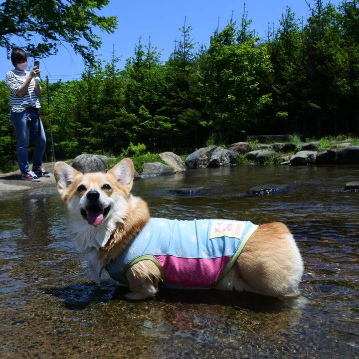 B42460a7 901d 4d1f bd41 6bcb983e9a83 1654422616515