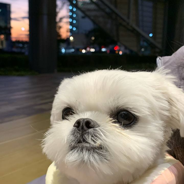 B42469de c3ce 407e b317 f7c45e893004 1640087826704