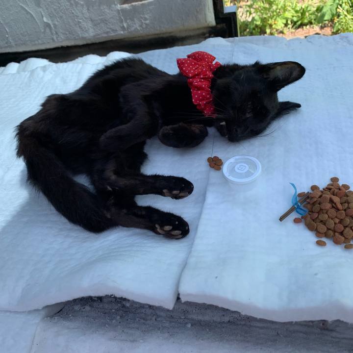 B424a951 573f 4489 aa5a 592421e71315 1558754451743