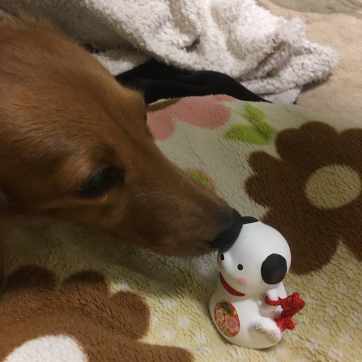 B424eed3 a056 4e1c 96c6 695683f965ee 1514982537423