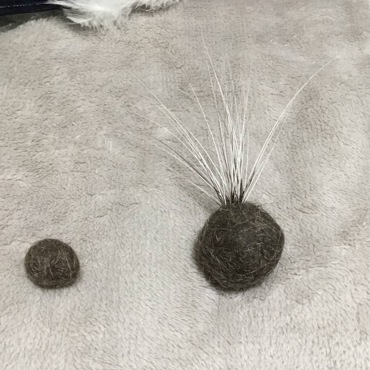 B424f092 f464 4445 9eb0 1050ad55fea9 1588925514962