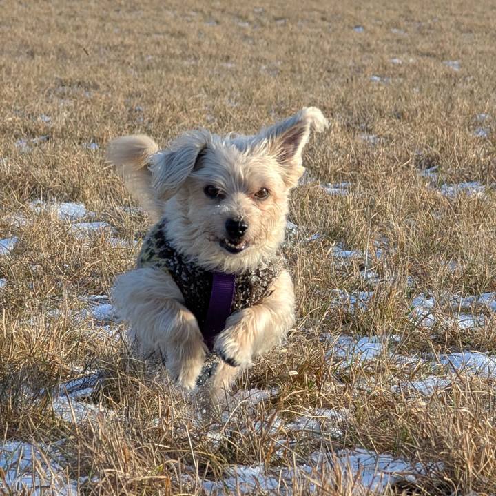 B424f6a1 1454 4de0 89b4 d28ca6fe7cdb 1767193009588