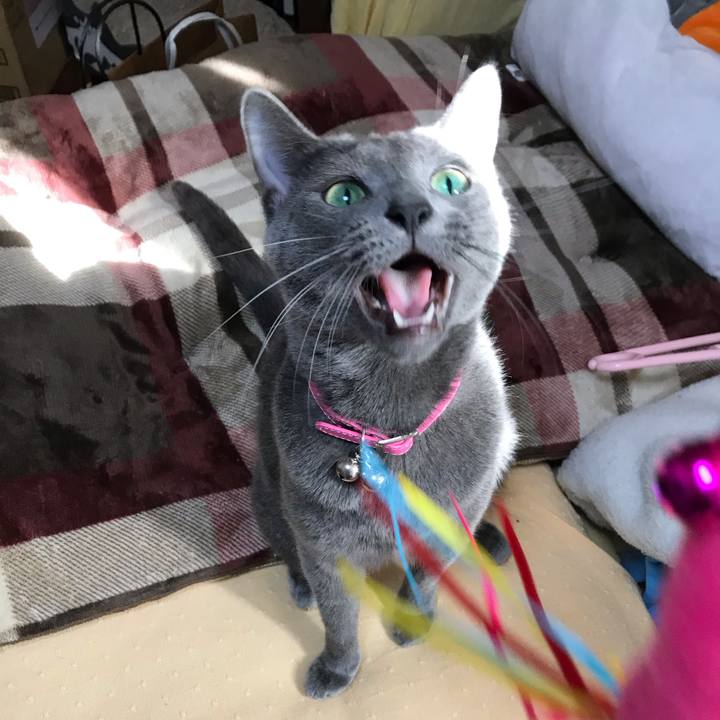 B42509ce 75d7 499b 94d7 576ef10a4f10 1544508419661