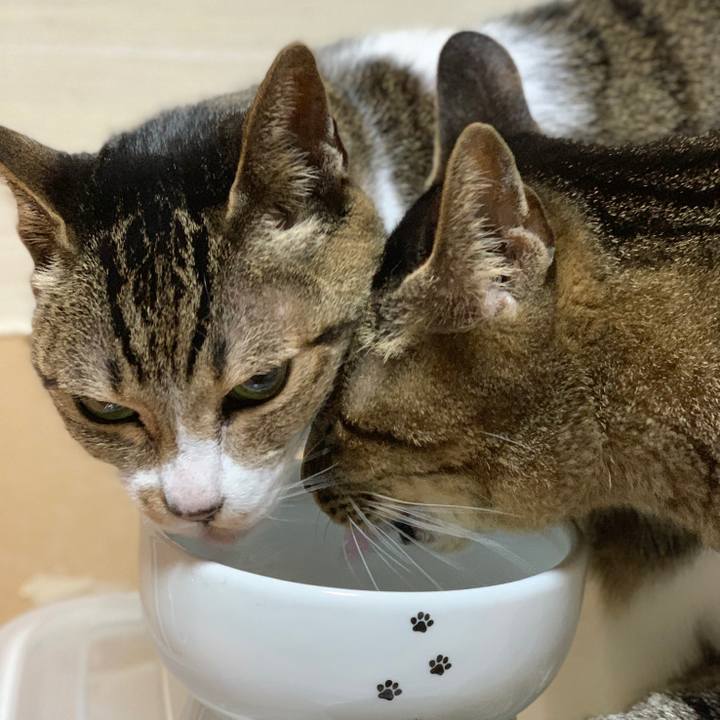 B4250f80 0ea9 4d17 a426 02533a5a27a1 1582936737428