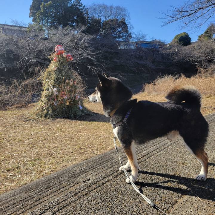 B42523bf b5f2 41a0 9fba 812cba7e2de3 1768096489606