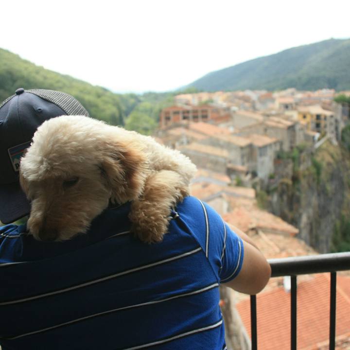 B4253950 014e 45c5 87bd 504d1936d4e8 1532532033965