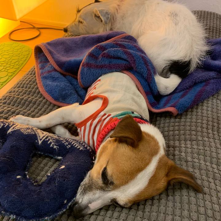 B4256159 b91b 494e b450 83bbd587fbd3 1557581237889