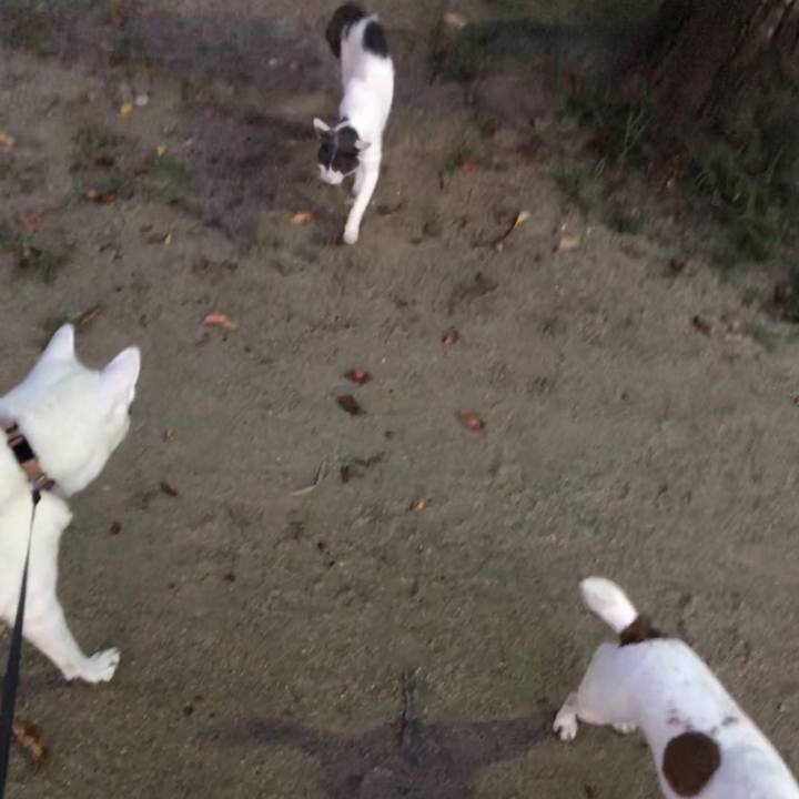 B42565cf aa52 4c2a b2fd baed7eb3766b 1535370664878