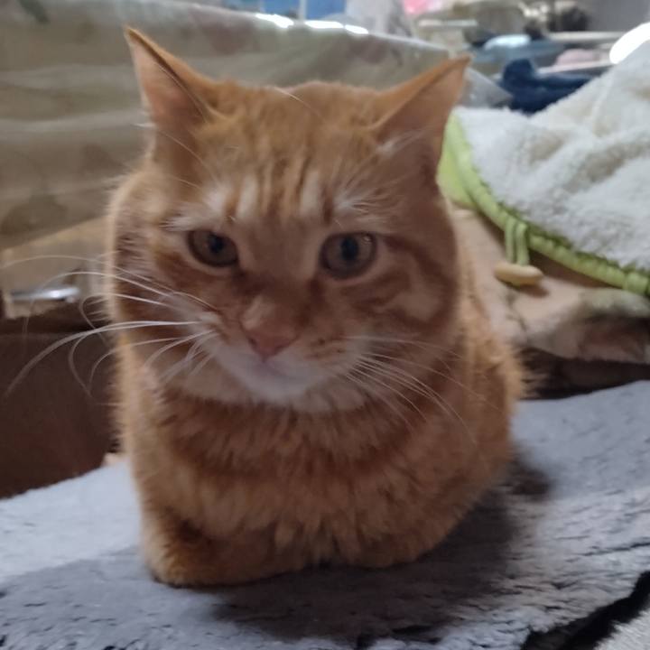 B425b9a6 8bb5 4d0a 9ca0 87a6adf1b276 1675240704973