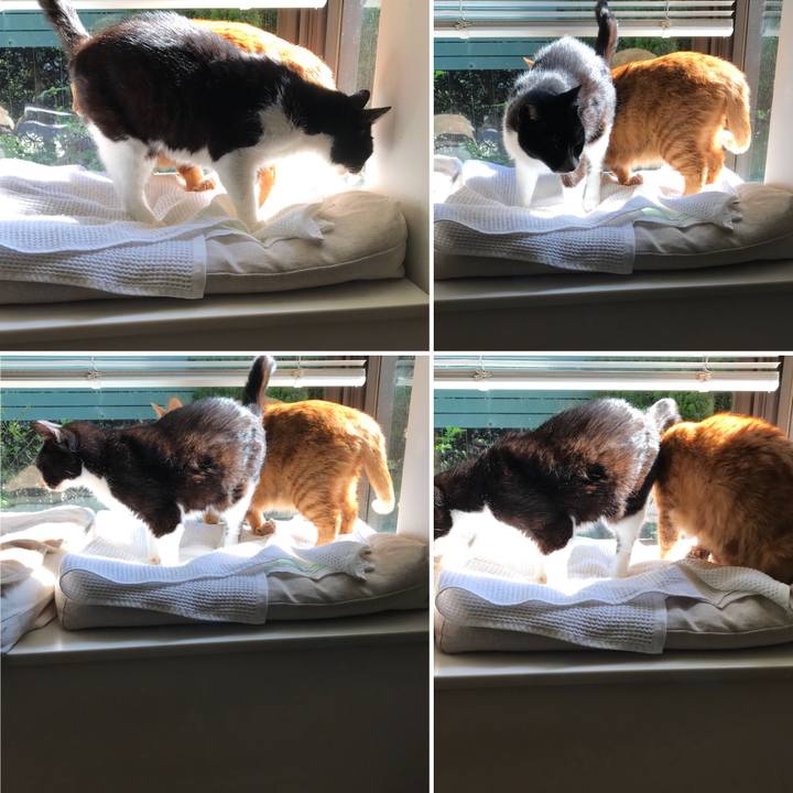 B425ce6c 06d3 4f5d 9b8a 63b9ef8d9283 1524716355899