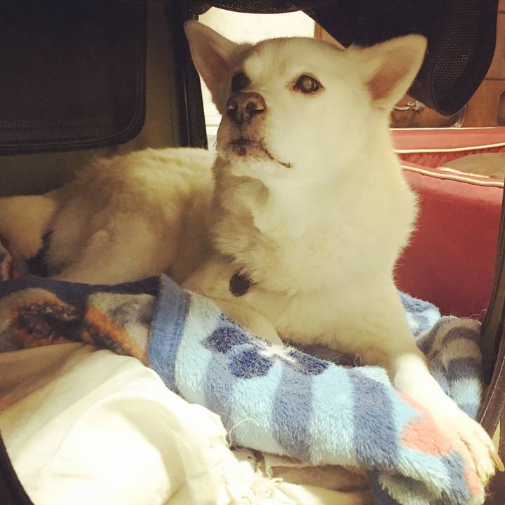 B425db4d 90a4 41a1 937d cab57df0a140 1518349301998