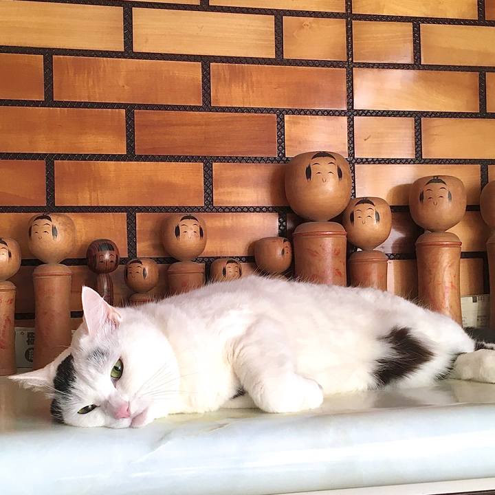 B425f111 9ec7 4ac5 ade7 ad248dc4ac2e 1611643437774