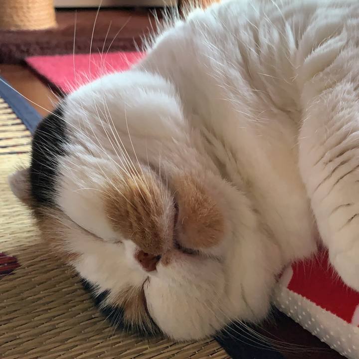 B425f414 41a4 41ab 9ab5 89ce8882d258 1562763227009