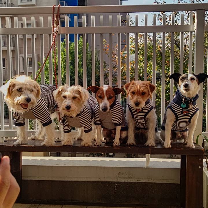 B42613d3 22a7 4509 96c3 c76f1b621258 1699522503109