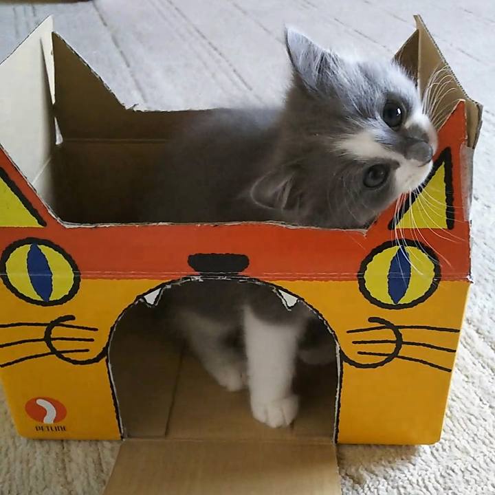 B42617c0 b1ca 4cd9 a2e7 f07778f19ae6 1560387841250