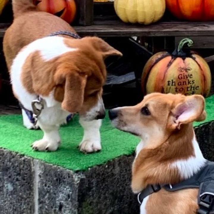 B4261a9f 57d5 433d 8682 02bae8f251fb 1644371220234