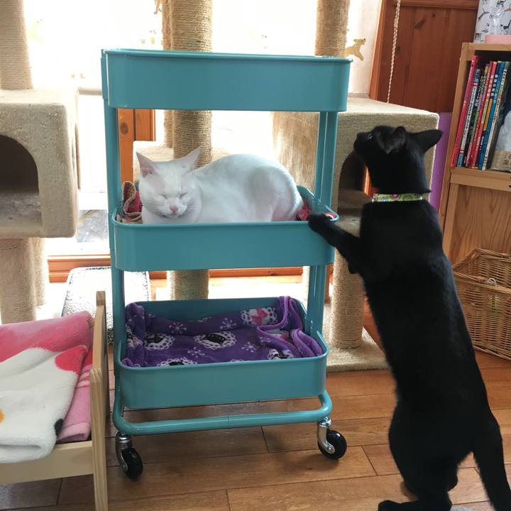 B4262bb1 94b5 4d95 a9dc 718a892207c1 1525510729341