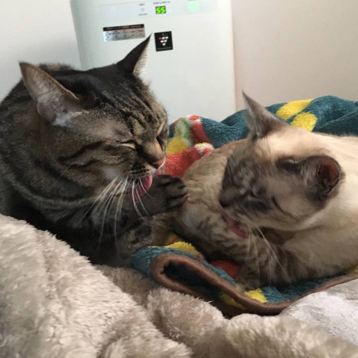 B426329b 26b3 4cde 9bc7 0e951829da6e 1576736677623