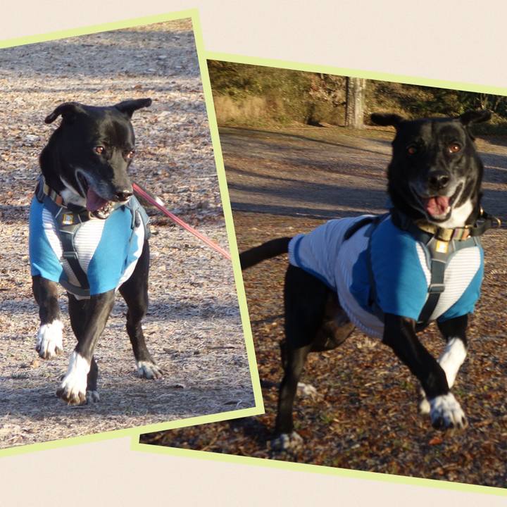 B42645b2 bfc5 4ca3 a57b de5820db0aa6 1704847189135