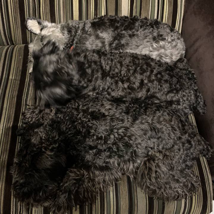 B4266eea ee3e 41ae 9eb6 4e2fc0057f9b 1589867360506